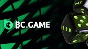 Comprehensive Guide to the BC.Game Login Process