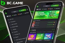 Step-by-Step Guide to the BC.Game Login Process