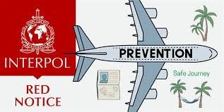 Understanding the Role of the Interpol Lawyers Team 1327052332