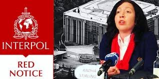 Understanding the Role of the Interpol Lawyers Team 1327052332