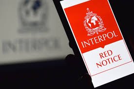 Understanding the Role of the Interpol Lawyers Team 1327052332