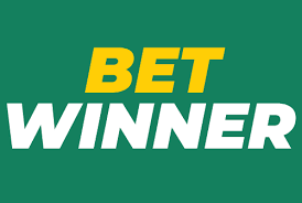 BetWinner Gambling Platform Your Ultimate Guide to Online Betting
