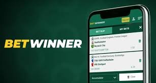 Experience the Thrill of Aviator at BetWinner