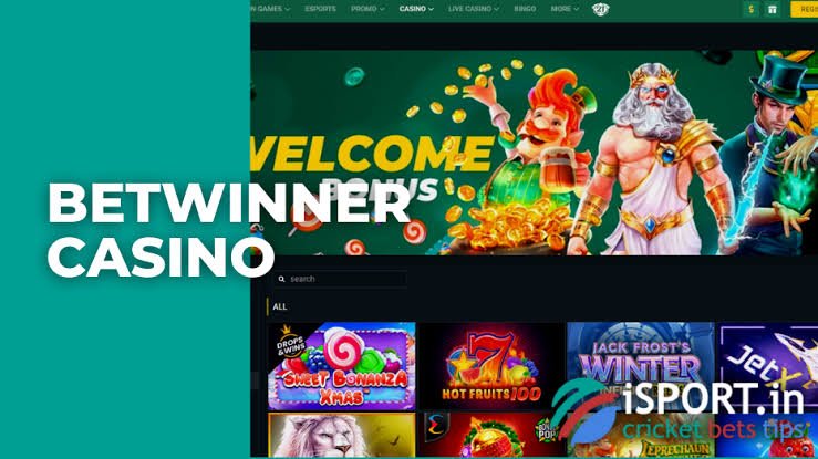 Everything You Need to Know About BetWinner Everything You Need to Know About BetWinner